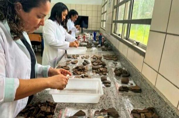 Xây chung cư, phát hiện "kho báu khủng khiếp" 100.000 món- Ảnh 2.