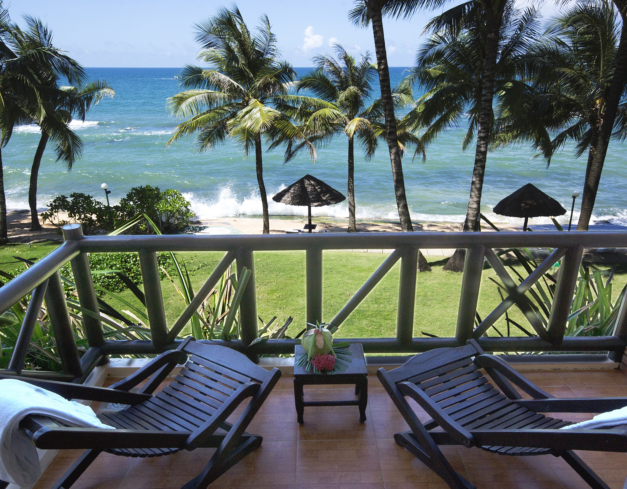 Saigontourist Group khuyến m&atilde;i lớn qu&yacute; đầu năm 2024- Ảnh 1.