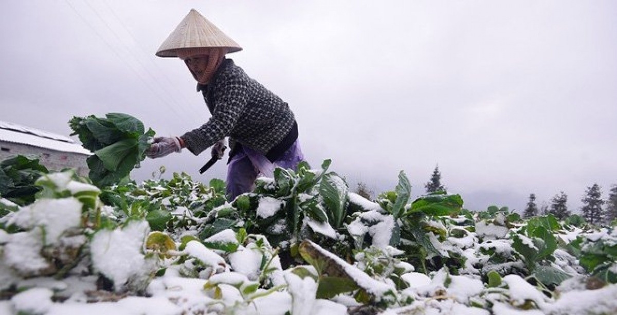 Kh&ocirc;ng kh&iacute; lạnh mạnh khiến nhiệt độ giảm mạnh, khả năng xuất hiện mưa tuyết v&agrave; băng gi&aacute; ở v&ugrave;ng n&uacute;i cao
