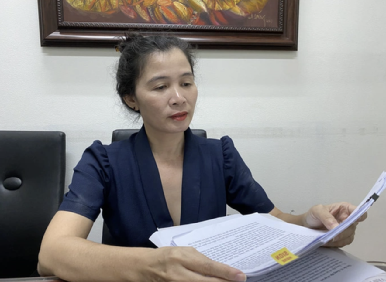 Truy tố b&agrave; Đặng Thị H&agrave;n Ni v&agrave; &ocirc;ng Trần Văn Sỹ- Ảnh 1.