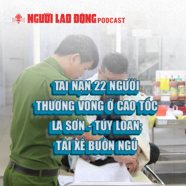 Tai nạn 22 người thương vong ở cao tốc La Sơn - Túy Loan: Tài xế buồn ngủ