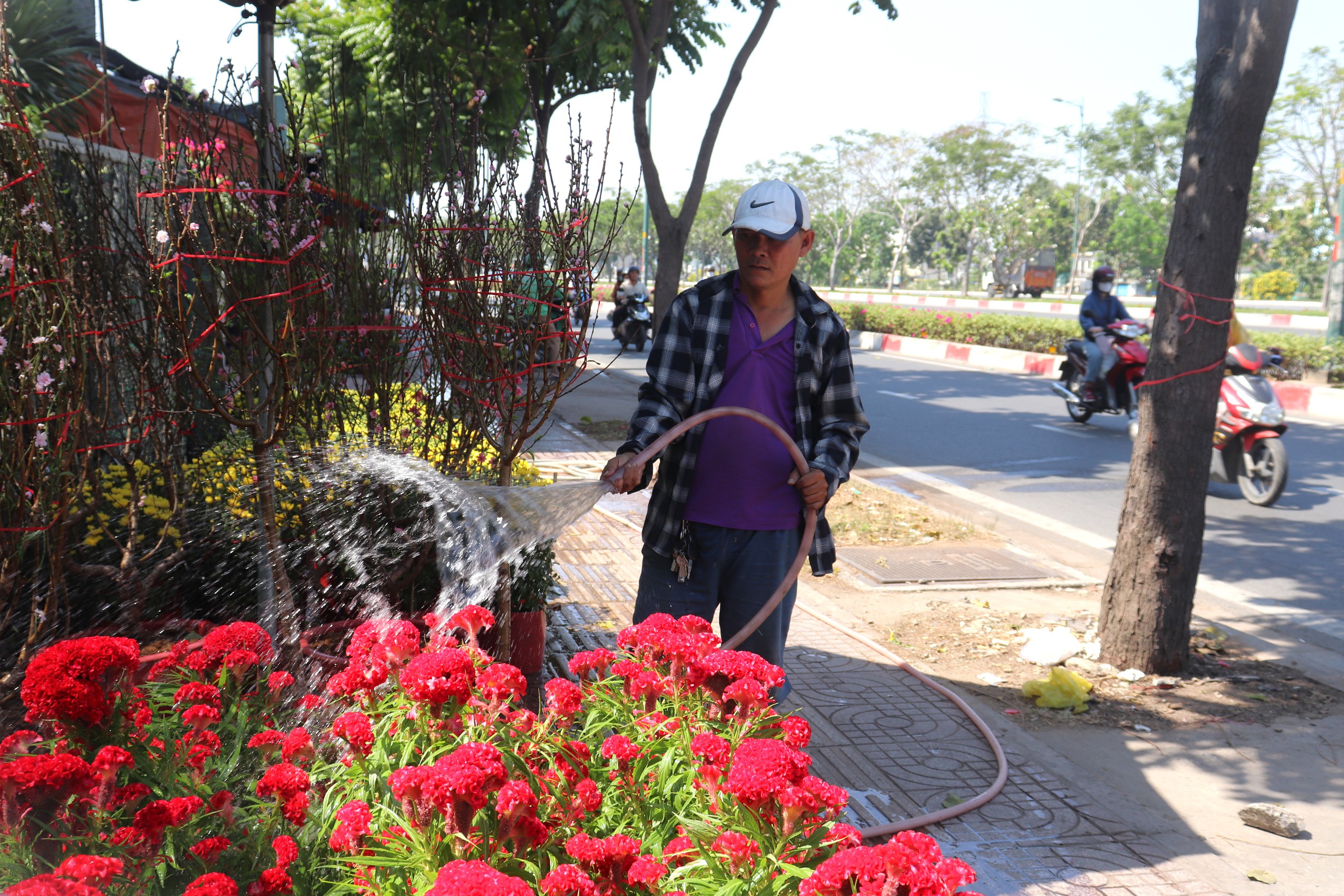 Ngập tràn sắc Xuân trên đại lộ đẹp nhất ở TP Thủ Đức- Ảnh 5.