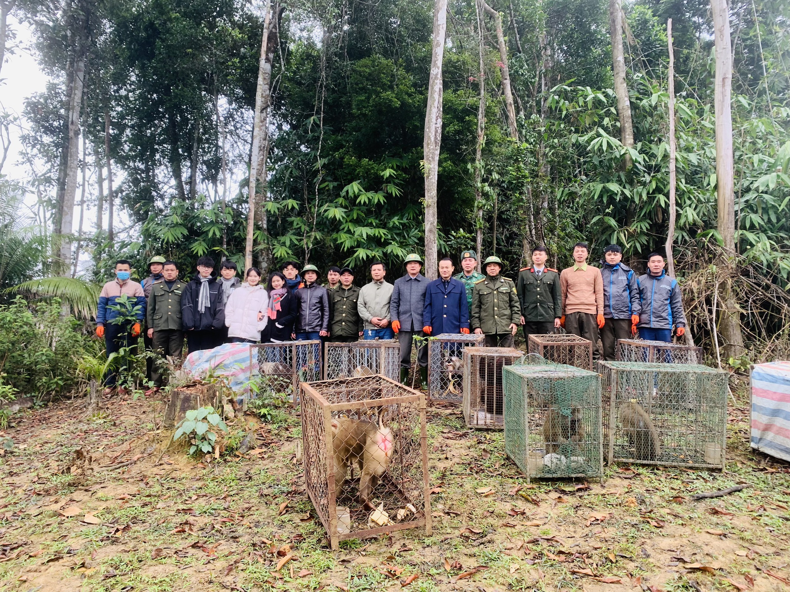Vườn quốc gia Vũ Quang t&aacute;i thả 30 c&aacute; thể động vật hoang d&atilde; về m&ocirc;i trường tự nhi&ecirc;n- Ảnh 1.