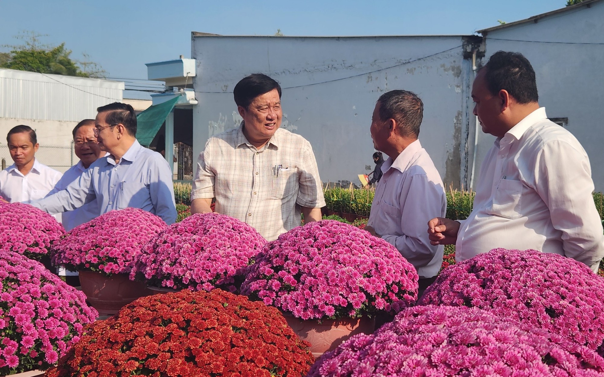 VIDEO: Rộn ràng mùa hoa Tết