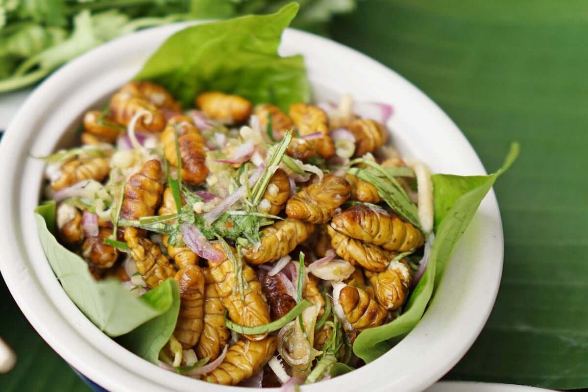 12 m&oacute;n ăn Th&aacute;i "cần can đảm": 5 m&oacute;n người Việt rất quen thuộc- Ảnh 7.