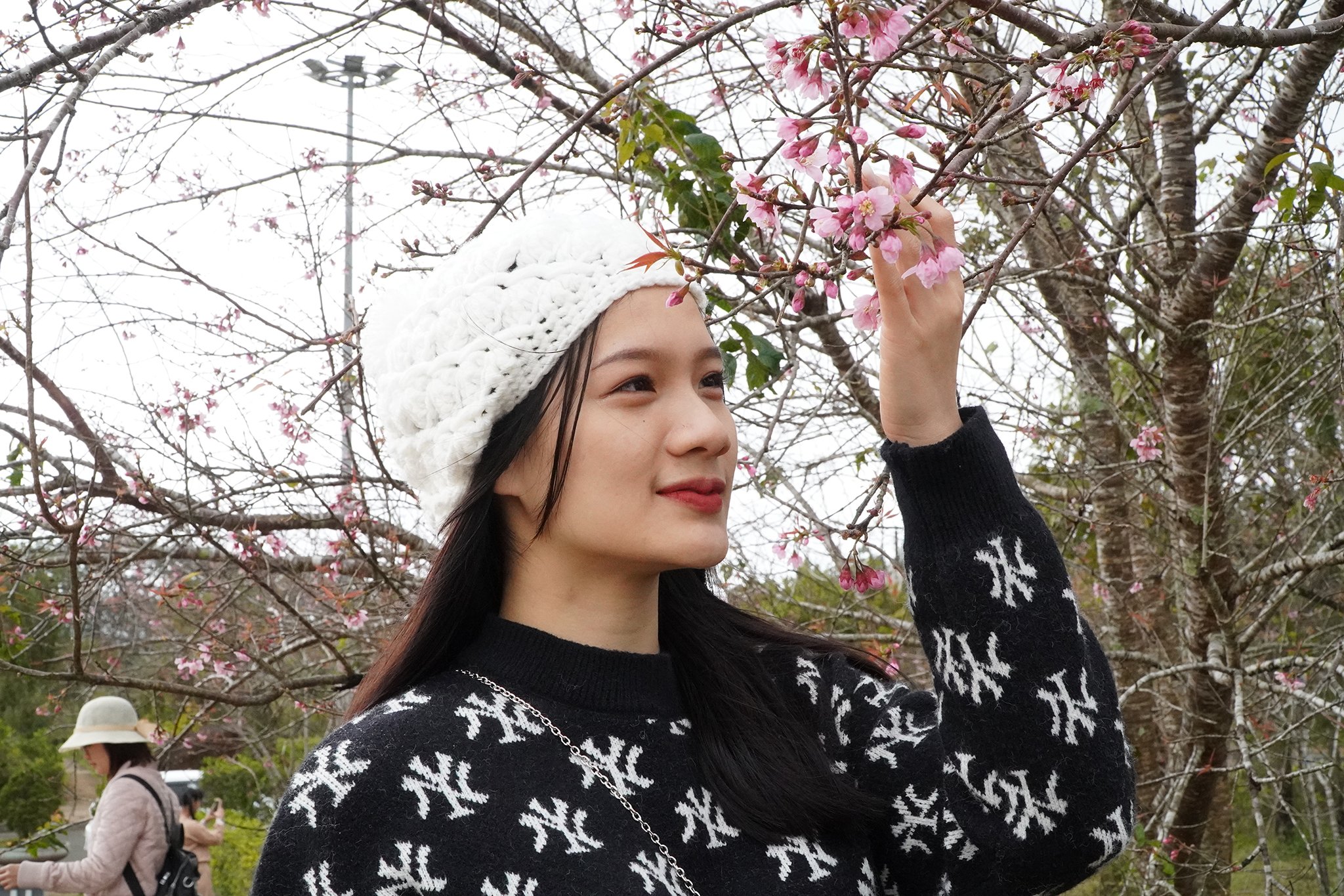 Hoa mai anh đ&agrave;o rực rỡ h&uacute;t kh&aacute;ch đến Măng Đen- Ảnh 1.