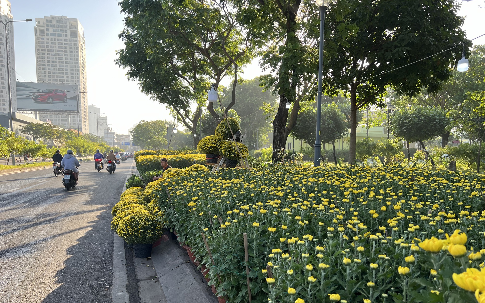 Hoa Tết tràn ra đường, hạ giá sớm