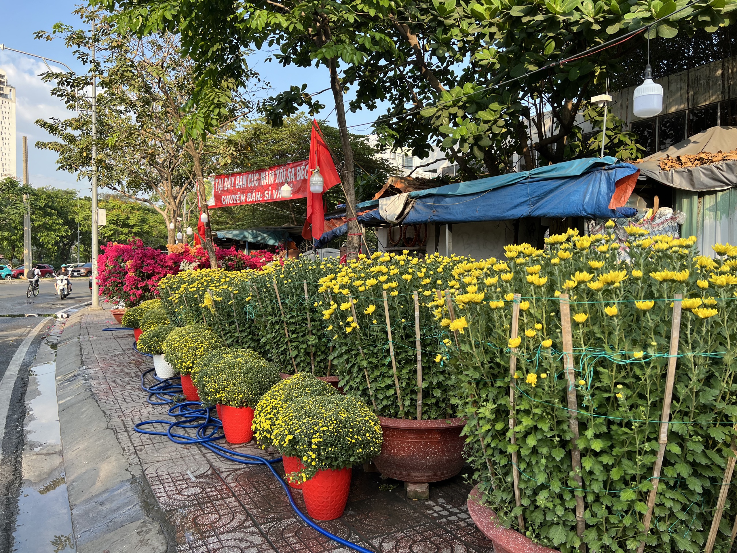 Hoa Tết tr&agrave;n ra đường, hạ gi&aacute; sớm- Ảnh 1.