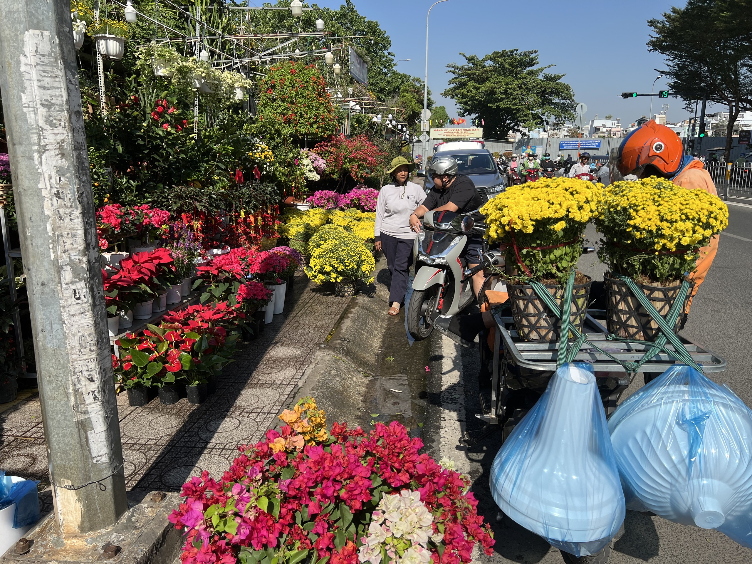 Hoa Tết tr&agrave;n ra đường, hạ gi&aacute; sớm- Ảnh 2.