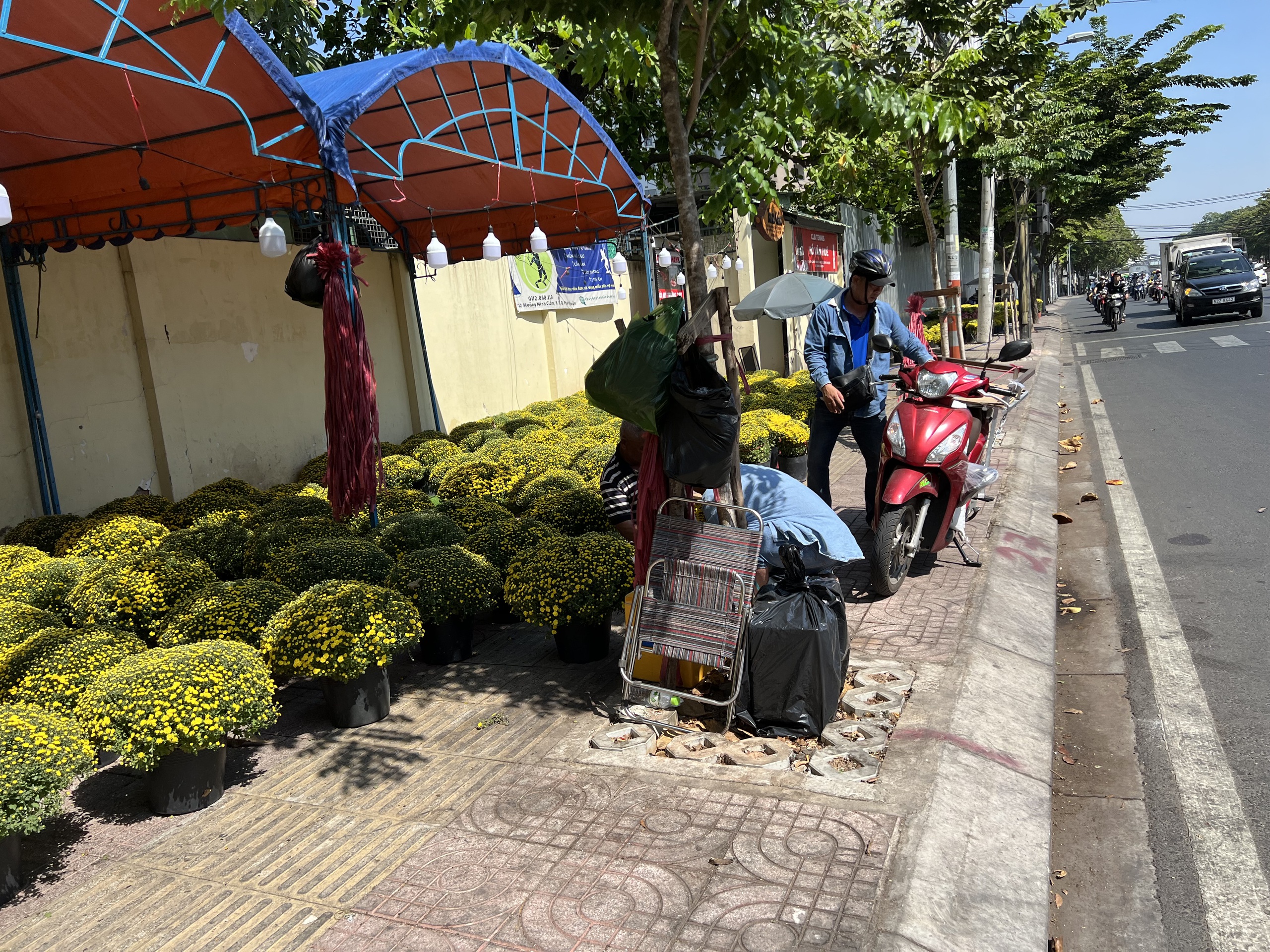 Hoa Tết tr&agrave;n ra đường, hạ gi&aacute; sớm- Ảnh 6.
