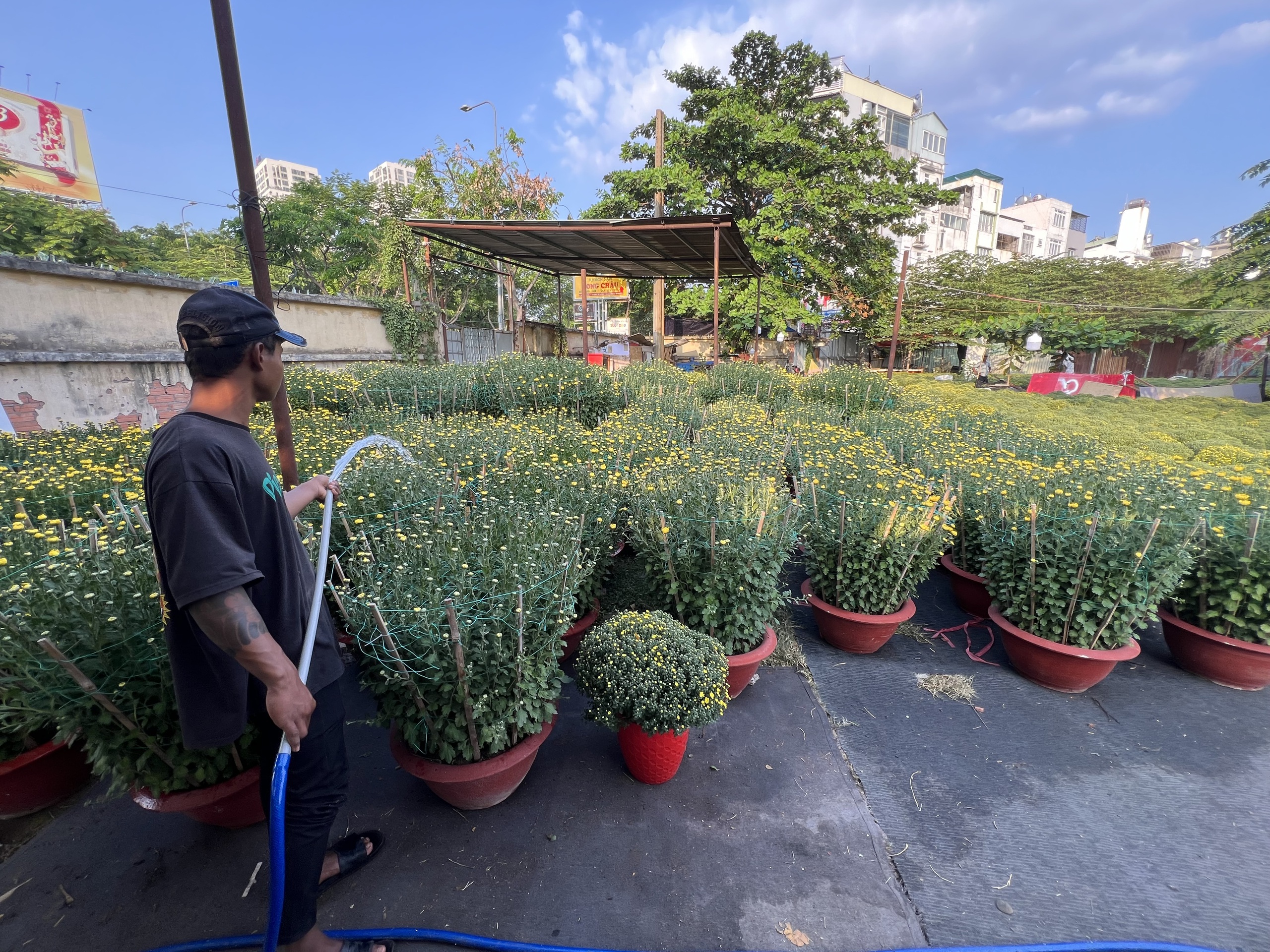 Hoa Tết tr&agrave;n ra đường, hạ gi&aacute; sớm- Ảnh 5.