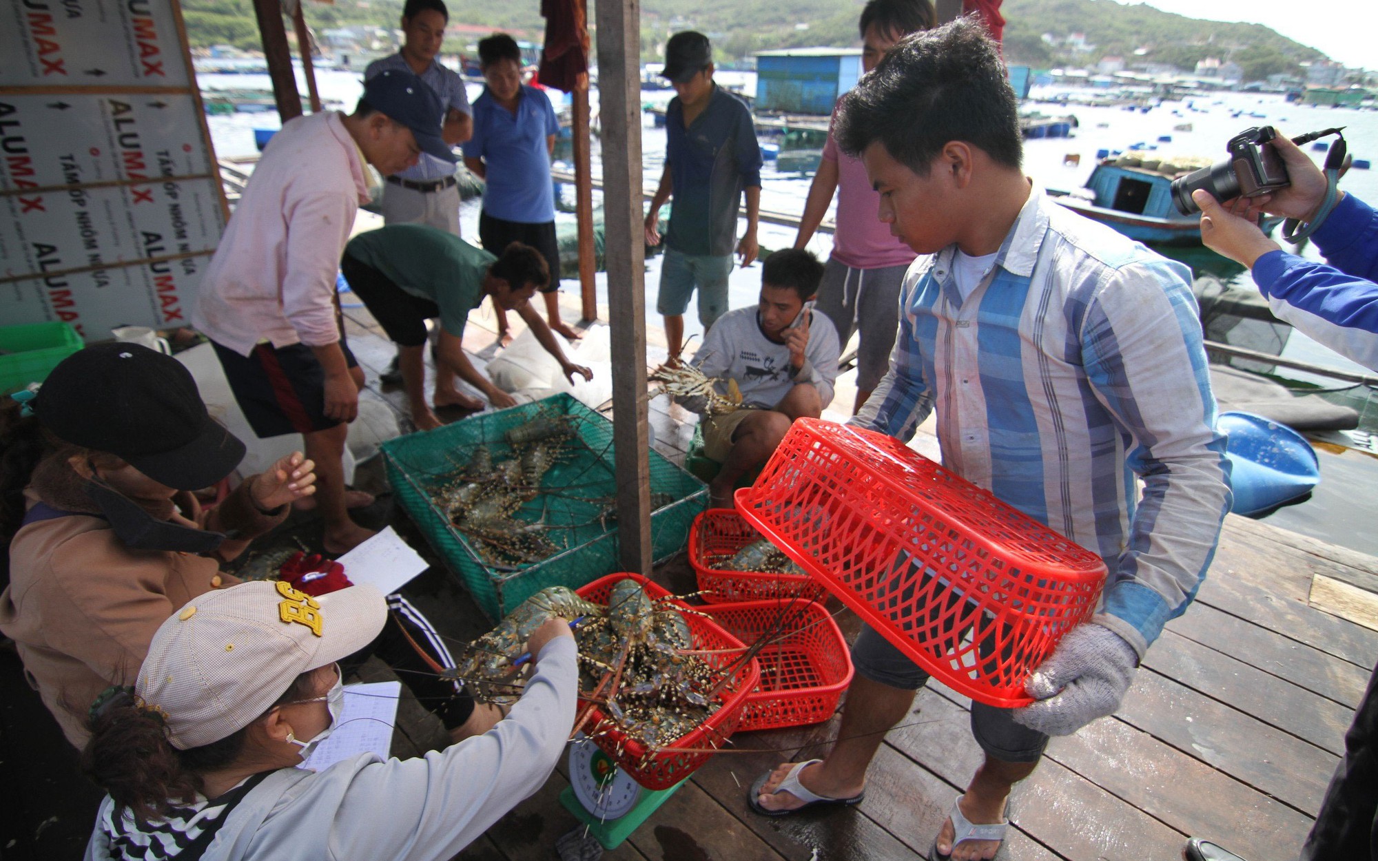 Thêm cơ hội từ thị trường Trung Quốc