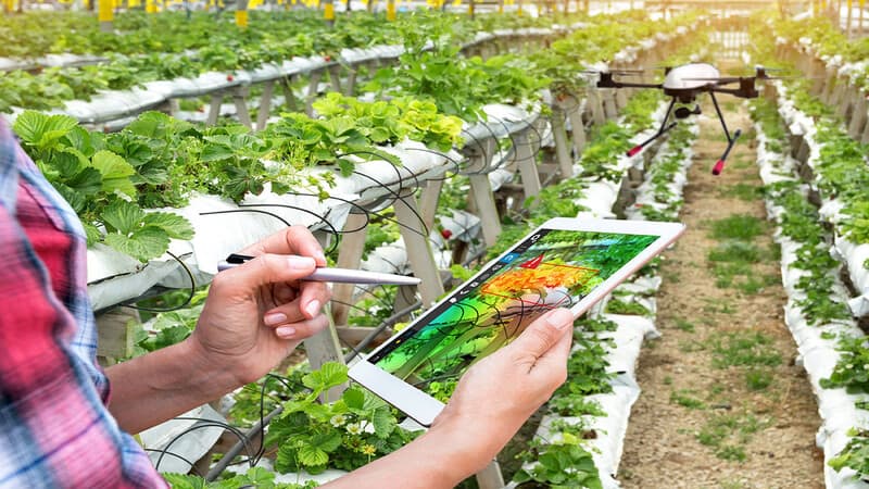 Chưa đưa lao động Việt Nam sang Israel l&agrave;m việc- Ảnh 1.
