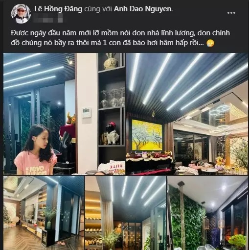 Cơ ngơi của Hồng Đăng
- Ảnh 6.