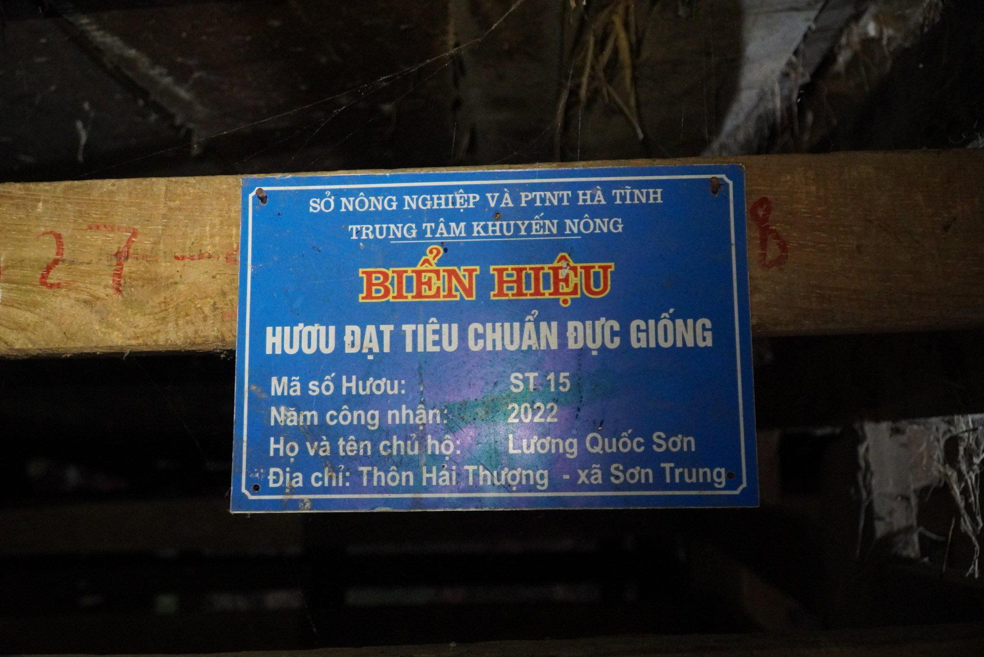 Bất ngờ với ch&uacute; hươu sao &ldquo;độc nhất v&ocirc; nhị&rdquo; 3 sừng, 6 nh&aacute;nh ở H&agrave; Tĩnh- Ảnh 4.