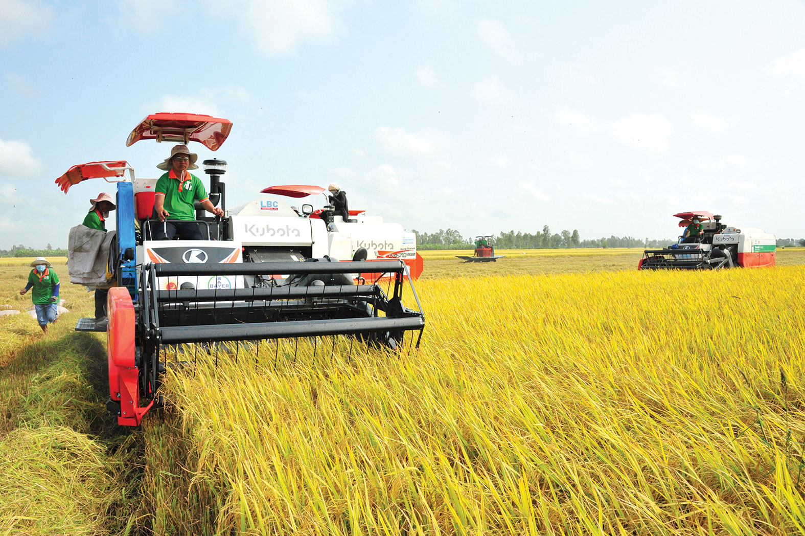 TỌA Đ&Agrave;M &ldquo;GIẢI PH&Aacute;P ĐƯỜNG D&Agrave;I CHO XUẤT KHẨU GẠO&rdquo;: Li&ecirc;n kết thật chặt, gạo Việt sẽ tiến xa- Ảnh 1.