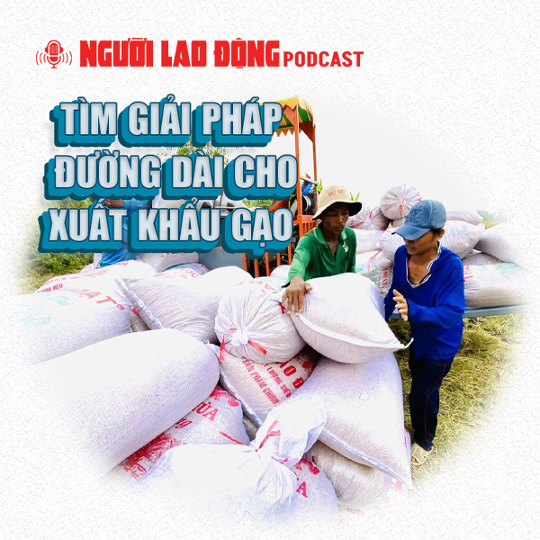 Tìm giải pháp đường dài cho xuất khẩu gạo