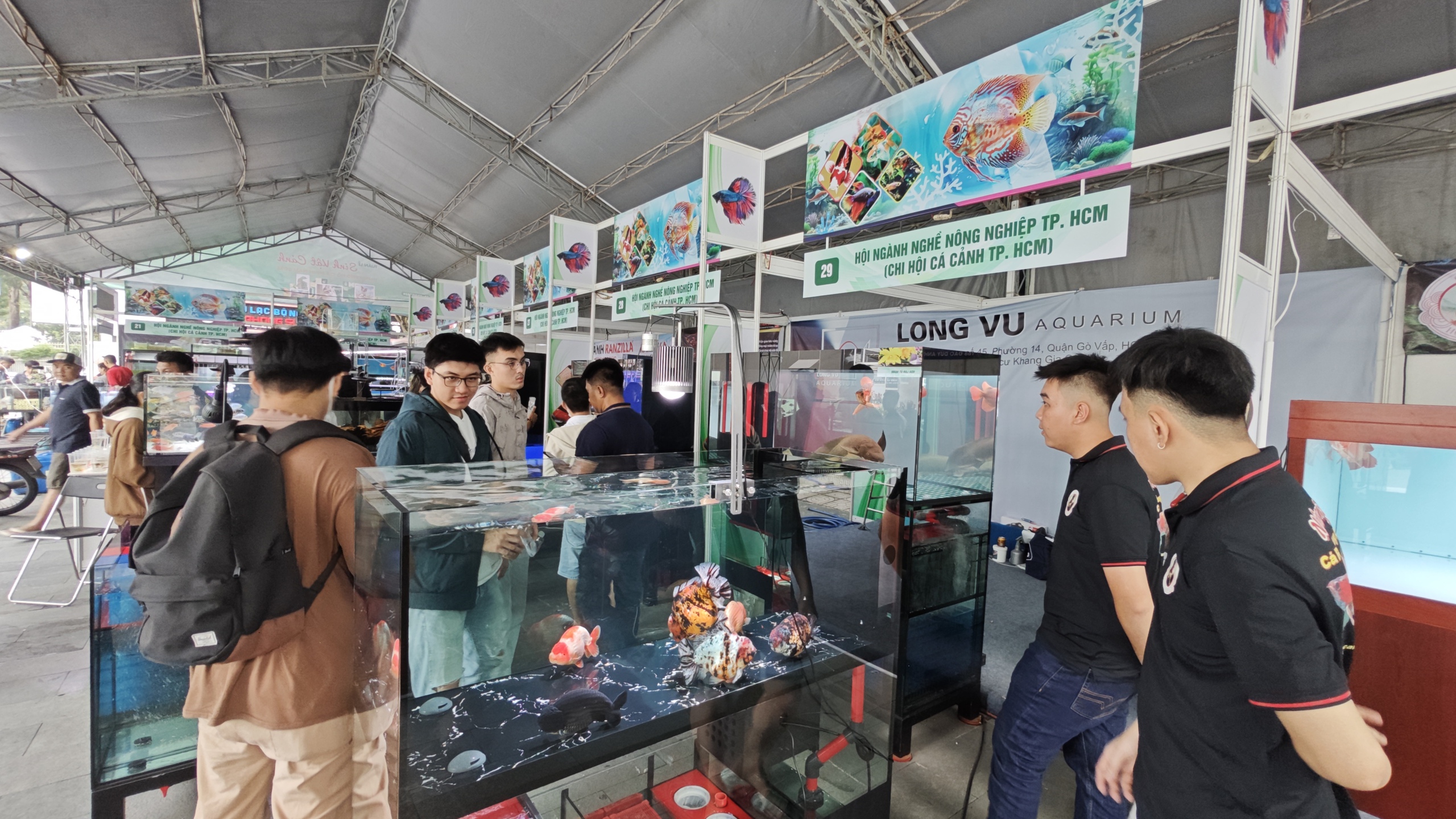 Mê mệt rùa châu Phi, rồng Nam Mỹ,… giữa trung tâm TP HCM- Ảnh 9.