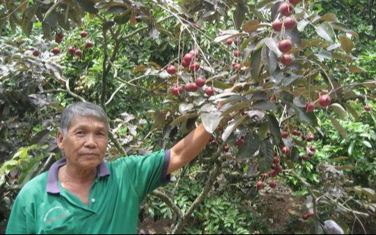 S&oacute;c Trăng: Hộ ngh&egrave;o tiếp cận tốt nguồn vốn t&iacute;n dụng ch&iacute;nh s&aacute;ch- Ảnh 1.