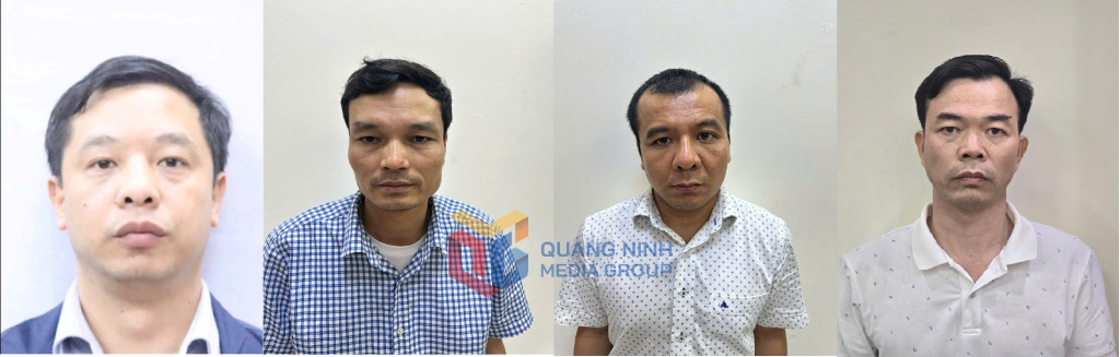 Phó Tổng Giám đốc Công ty Cổ phần xi măng Hạ Long bị bắt- Ảnh 1.