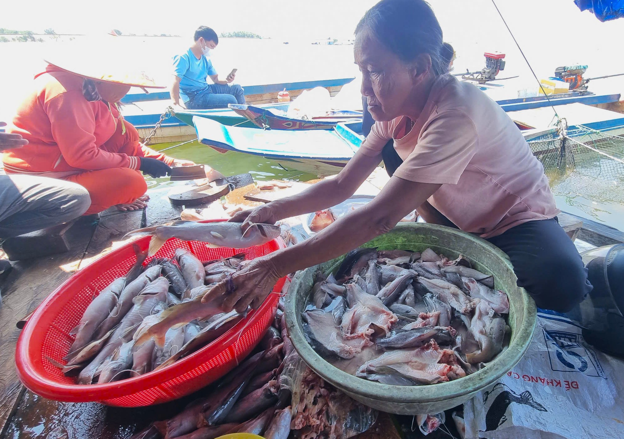 Bất thường cá nuôi trong hồ thủy lợi chết hàng loạt ở Gia Lai- Ảnh 3.