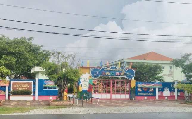 Nữ hiệu trưởng trường mẫu gi&aacute;o tham &ocirc; tiền t&agrave;i trợ của c&ocirc;ng ty sữa- Ảnh 1.
