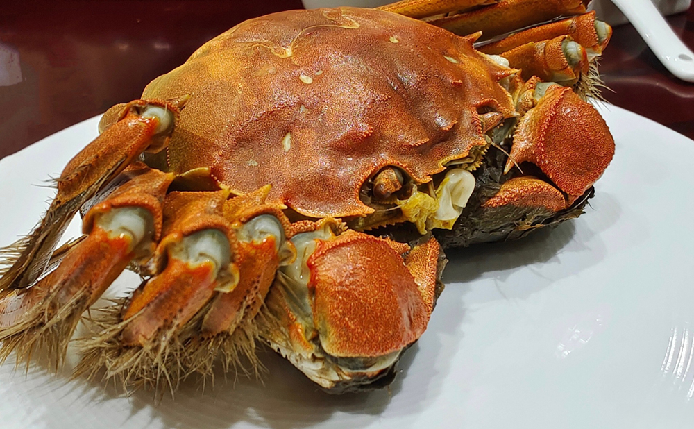 Loại cua "qu&yacute; tộc" của Trung Quốc trở th&agrave;nh m&oacute;n ăn b&igrave;nh d&acirc;n tại Việt Nam- Ảnh 1.