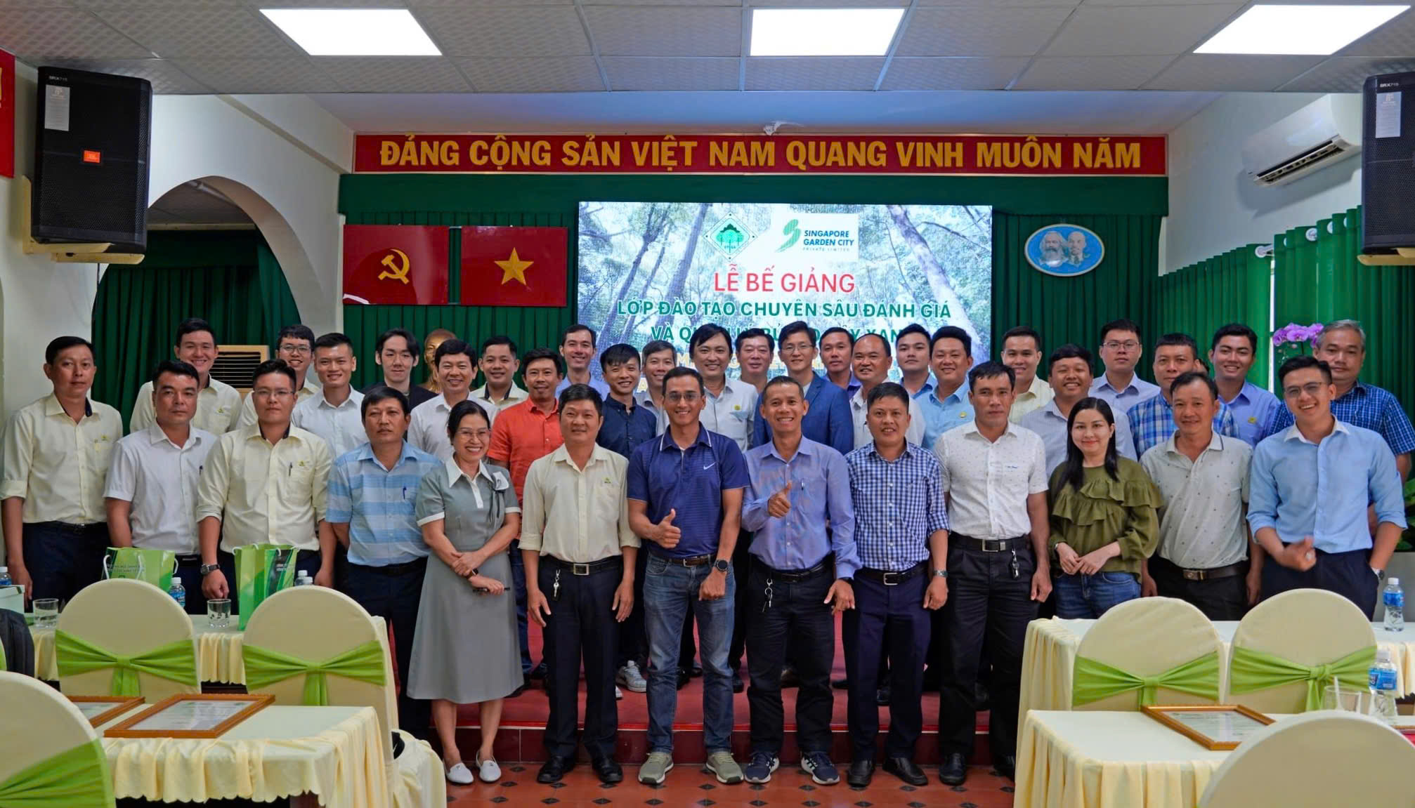 Cắt tỉa nhiều c&agrave;nh nh&aacute;nh cổ thụ, khả năng c&acirc;y g&atilde;y, đổ sẽ tăng l&ecirc;n- Ảnh 1.