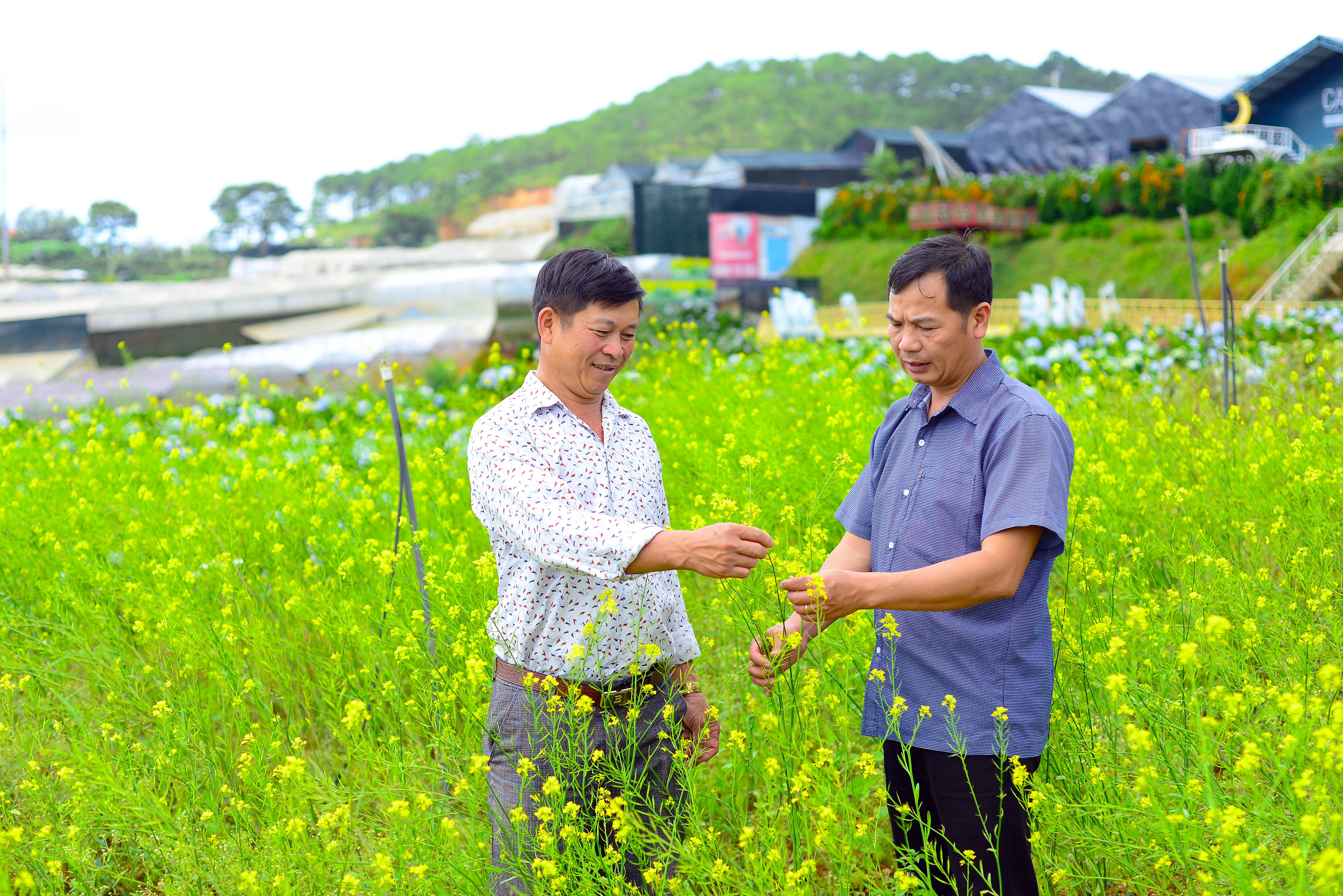 Th&aacute;o gỡ kh&oacute; khăn cho du lịch canh n&ocirc;ng L&acirc;m Đồng- Ảnh 1.