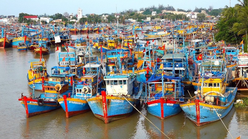 Thủ tướng y&ecirc;u cầu điều tra h&igrave;nh sự khai th&aacute;c thủy sản bất hợp ph&aacute;p IUU - Ảnh 1.