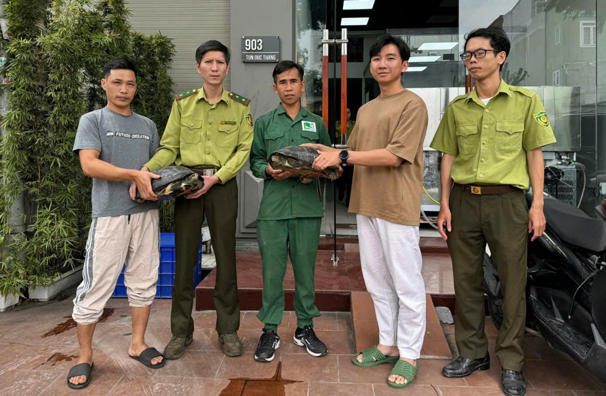 Một gia đ&igrave;nh giao nộp 2 c&aacute; thể chim Cao c&aacute;t hoang d&atilde; qu&yacute; hiếm- Ảnh 2.