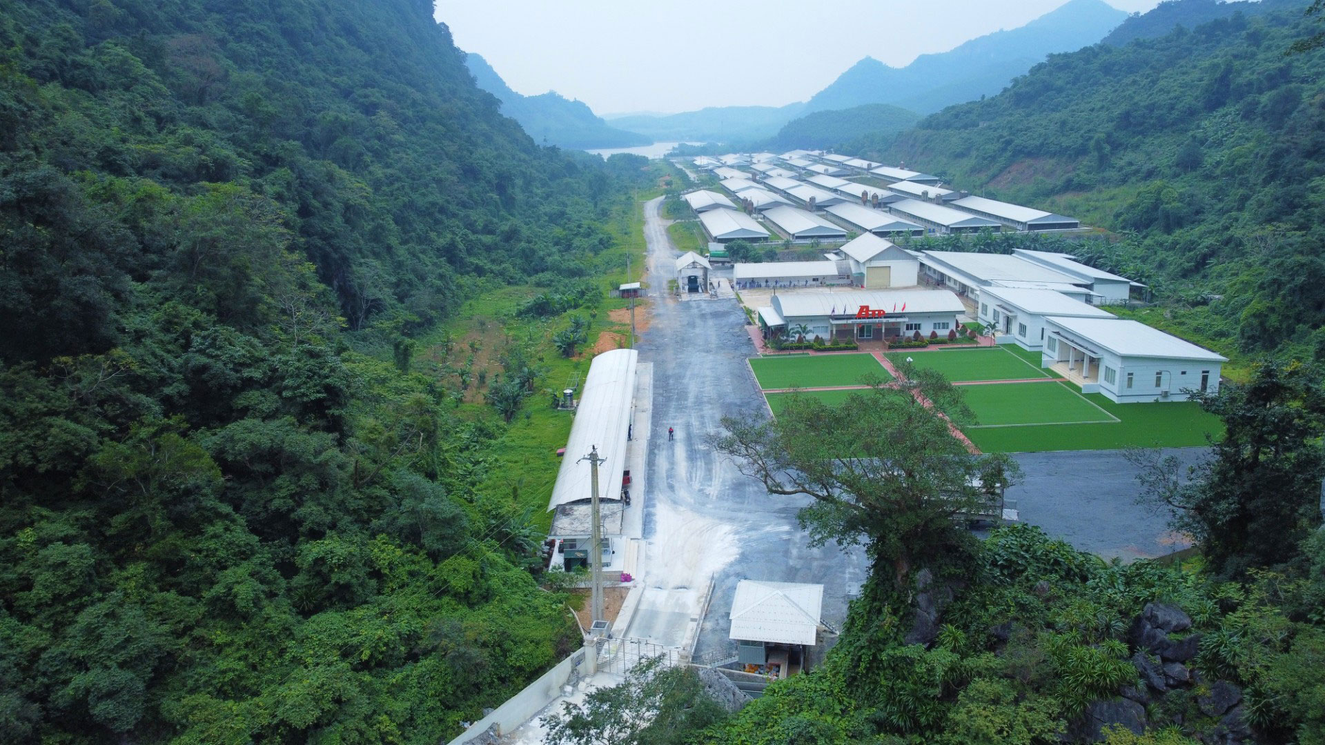 Trang trại chăn nu&ocirc;i heo c&ocirc;ng nghệ cao của C&ocirc;ng ty TNHH Buntaphan Quảng B&igrave;nh