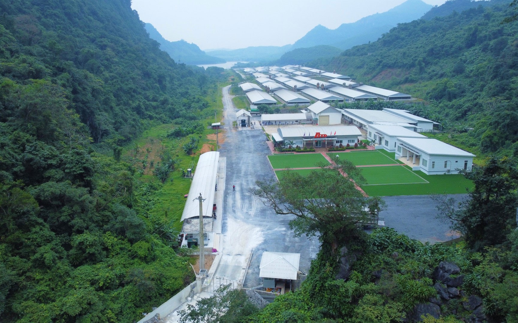 N&ocirc;ng nghiệp c&ocirc;ng nghệ cao thay đổi v&ugrave;ng đất ngh&egrave;o