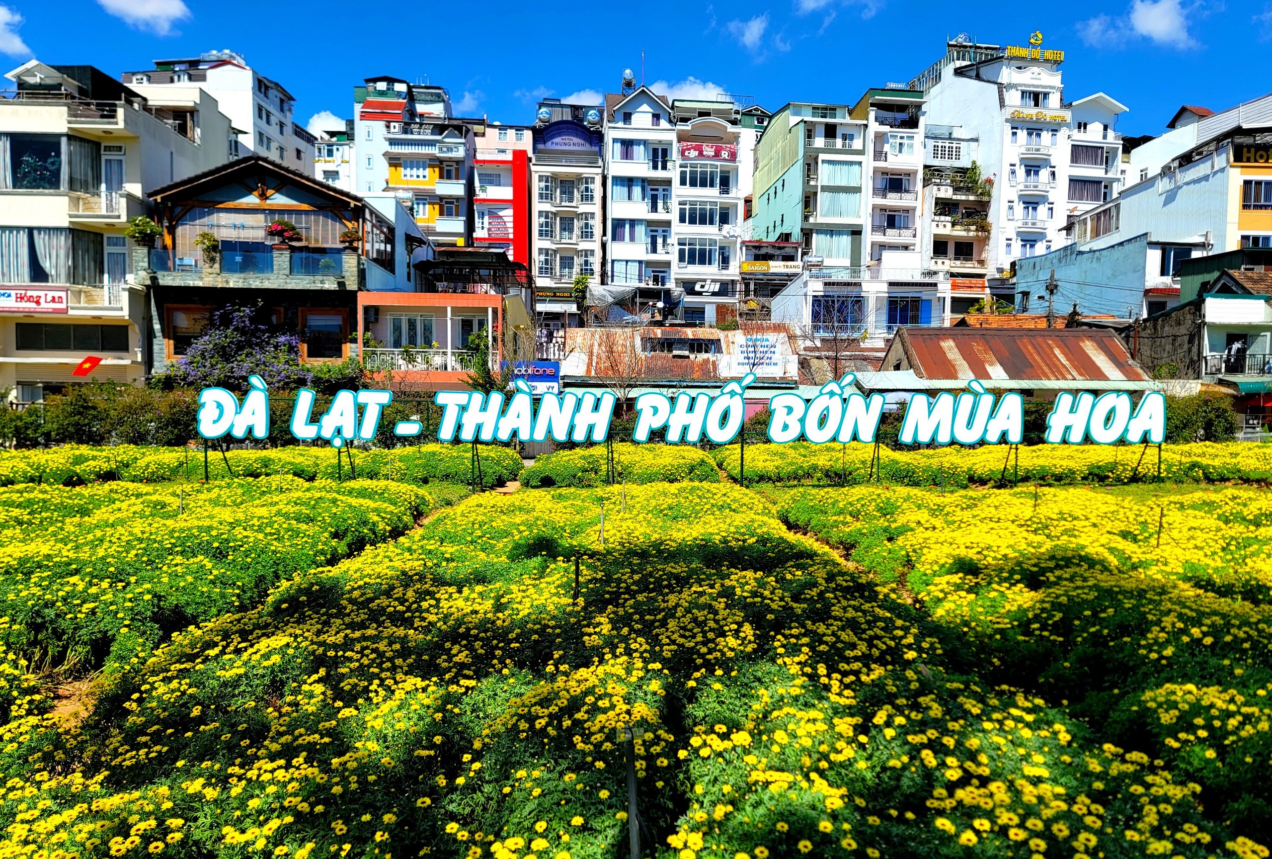 Lâm Đồng xem xét đề nghị tổ chức festival khinh khí cầu lớn nhất Việt Nam- Ảnh 5.