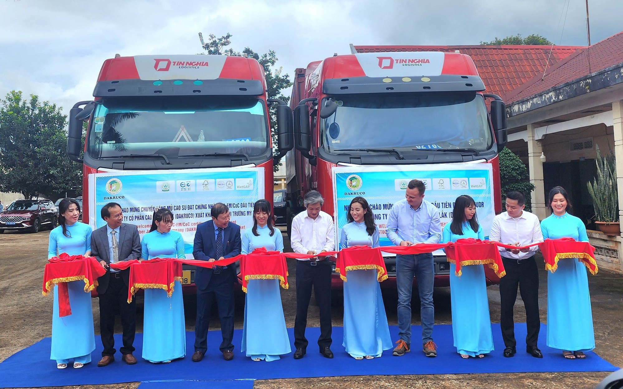Hàng ngàn héc ta cao su được cấp