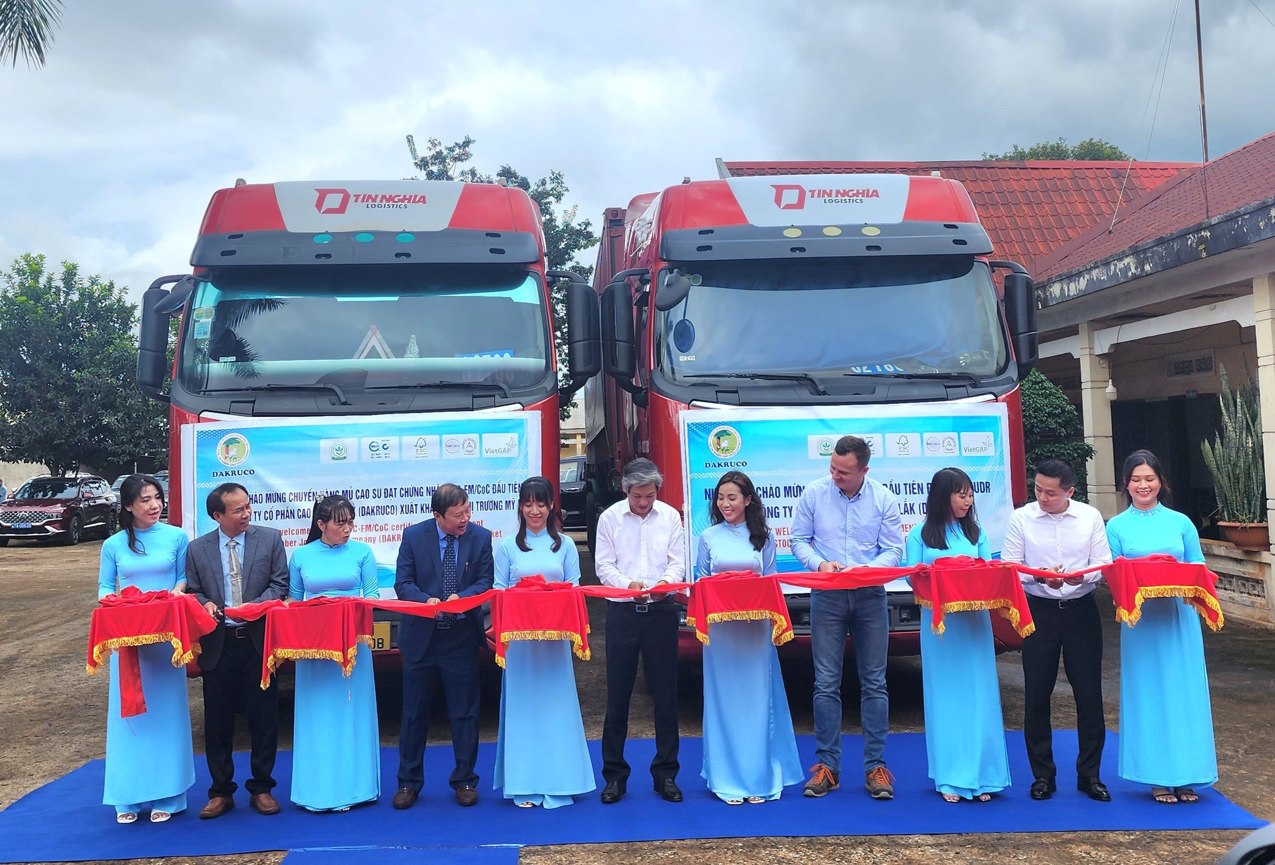Hàng ngàn héc ta cao su được cấp "thẻ xanh" vào EU- Ảnh 3.