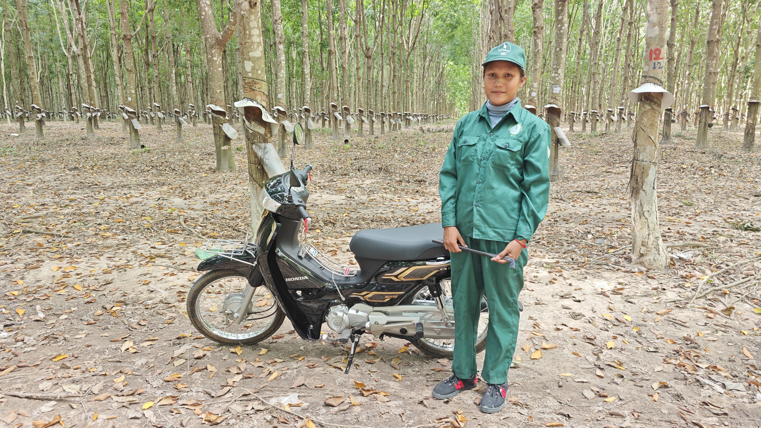 Đổi đời nhờ cây cao su (*): Công nhân Campuchia làm giàu nhờ cao su Việt- Ảnh 2.