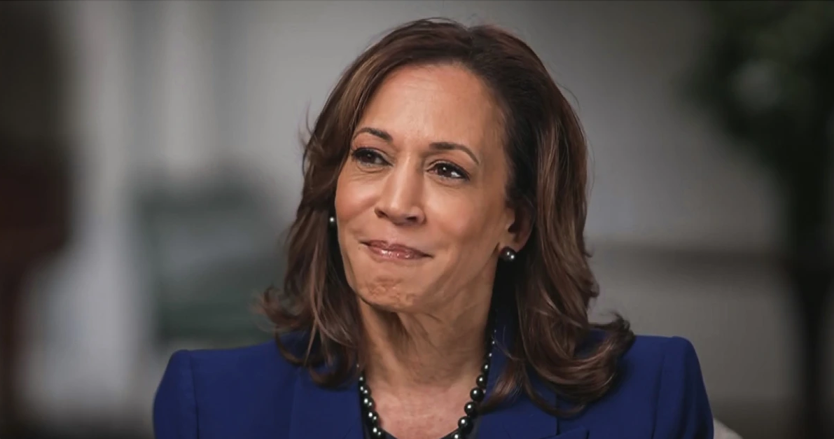 Đường đua vào Nhà Trắng tấp nập, không chỉ có ông Trump và bà Harris- Ảnh 2.