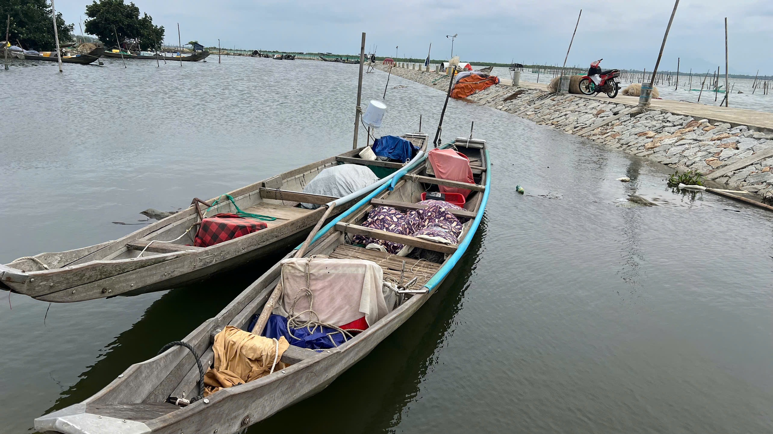 X&atilde; đặc biệt kh&oacute; khăn v&ugrave;ng b&atilde;i ngang ở Huế vươn m&igrave;nh- Ảnh 3.