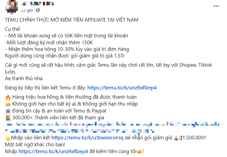 Ham kiếm tiền từ Temu, coi chừng d&iacute;nh lừa đảo- Ảnh 1.