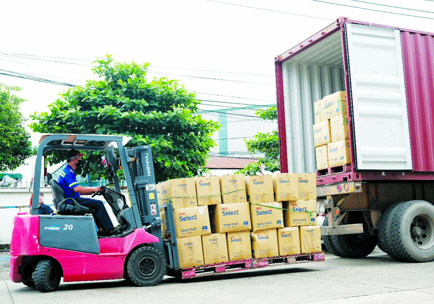 Ngay sau chương tr&igrave;nh, 2 container h&agrave;ng nh&atilde;n ri&ecirc;ng Co.op Select sẽ được xuất sang thị trường Mỹ