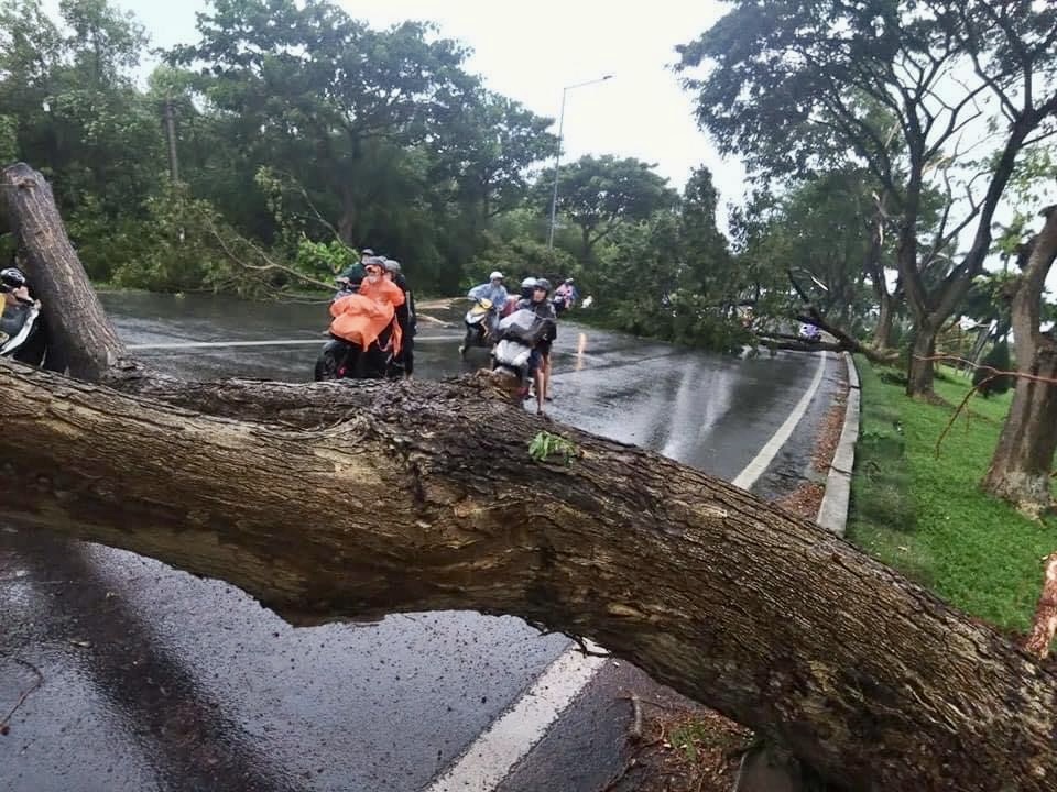 Nhiều c&acirc;y xanh g&atilde;y đổ, kẹt xe nối d&agrave;i hướng Vũng T&agrave;u đi B&agrave; Rịa- Ảnh 2.
