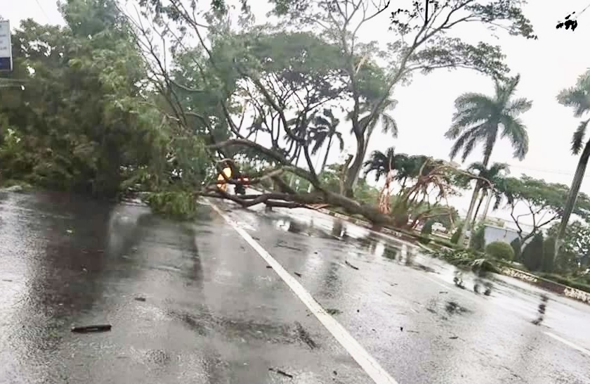 Nhiều c&acirc;y xanh g&atilde;y đổ, kẹt xe nối d&agrave;i hướng Vũng T&agrave;u đi B&agrave; Rịa- Ảnh 3.