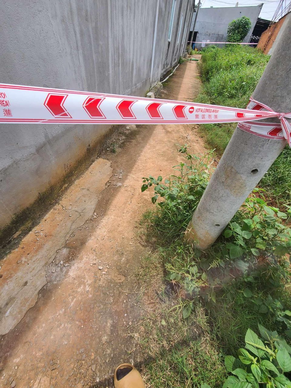Vụ thiếu ni&ecirc;n b&aacute;n v&eacute; số tử vong ở Đồng Nai: X&aacute;c định được đối tượng nghi vấn- Ảnh 1.