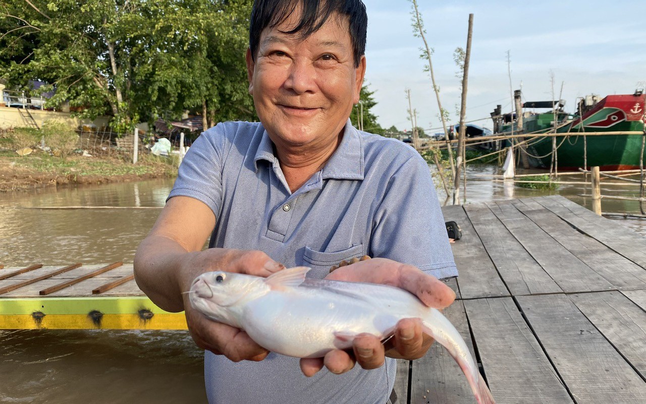 Đồng Th&aacute;p th&agrave;nh c&ocirc;ng t&aacute;i cơ cấu ng&agrave;nh n&ocirc;ng nghiệp