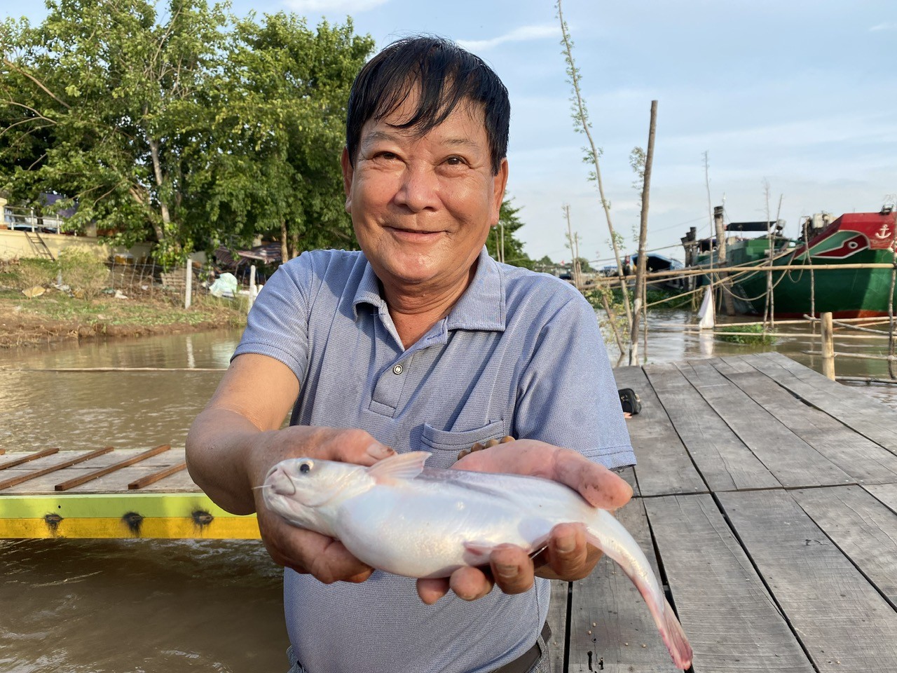 Cá tra là một trong 5 ngành hàng chủ lực của tỉnh Đồng Tháp. Ảnh: LÊ HOÀNG VŨ
