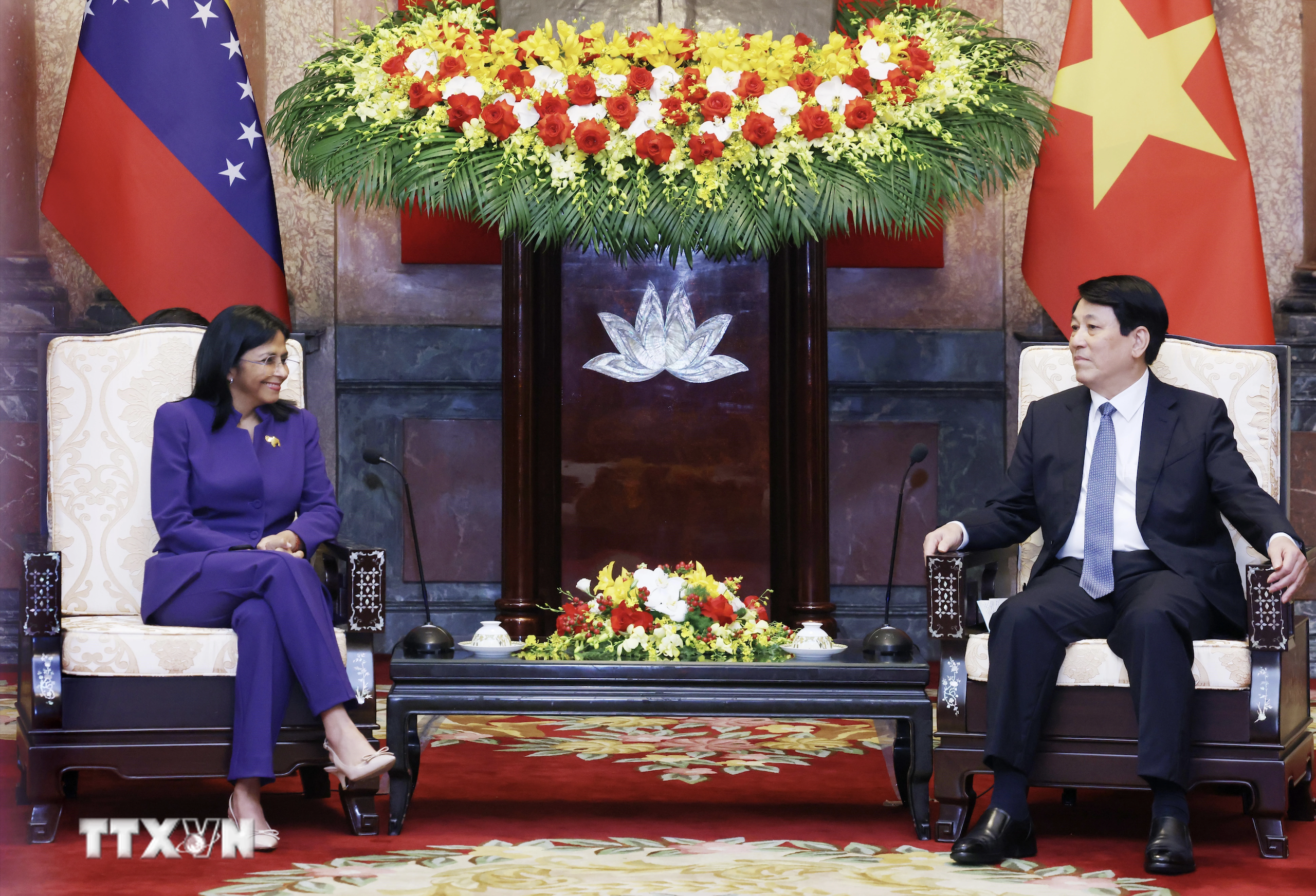 Chủ tịch nước Lương Cường tiếp Ph&oacute; Tổng thống Thường trực Venezuela- Ảnh 2.
