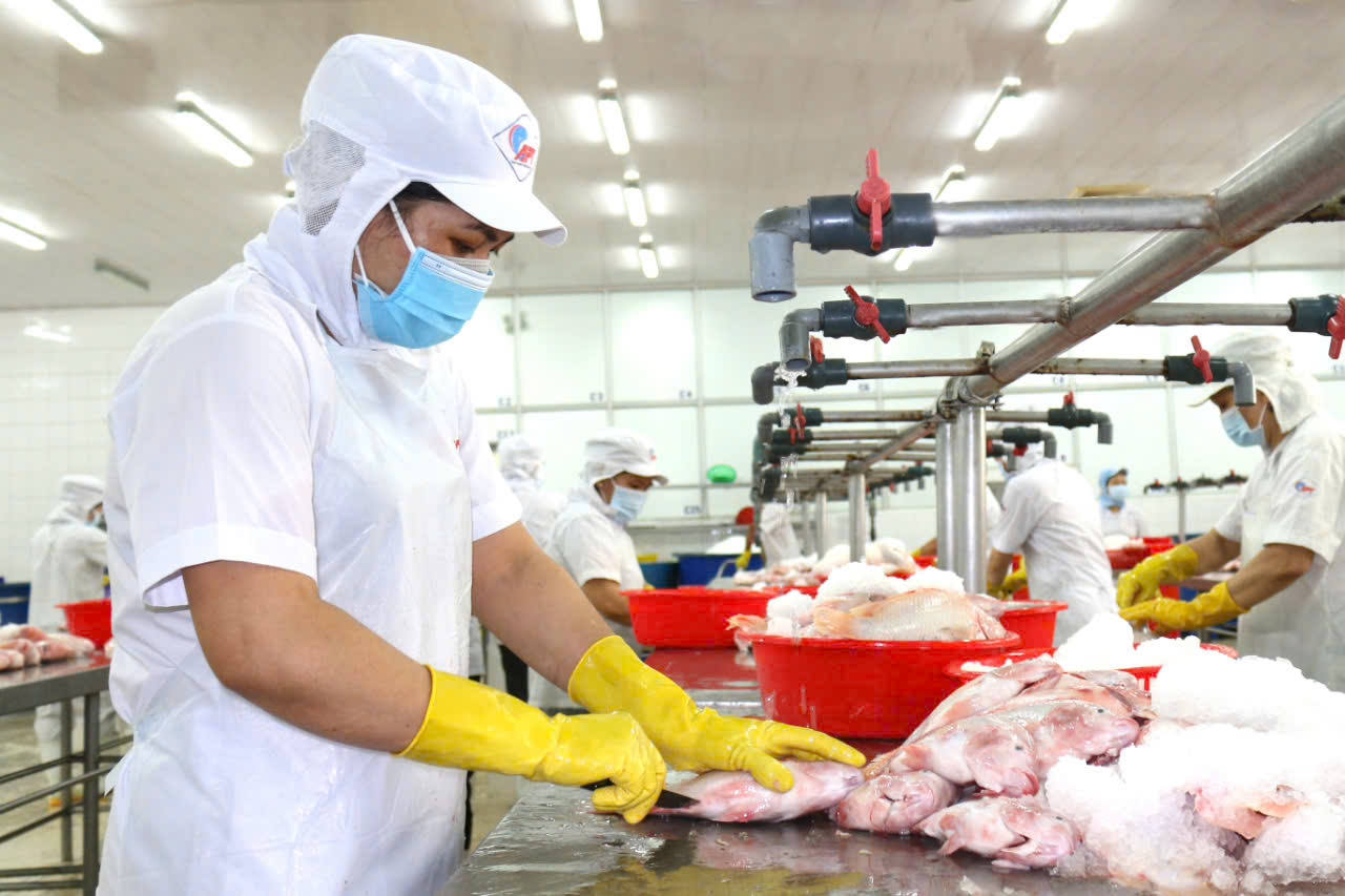 Điều kiện để người r&uacute;t BHXH một lần vẫn c&oacute; thể nhận lương hưu- Ảnh 1.