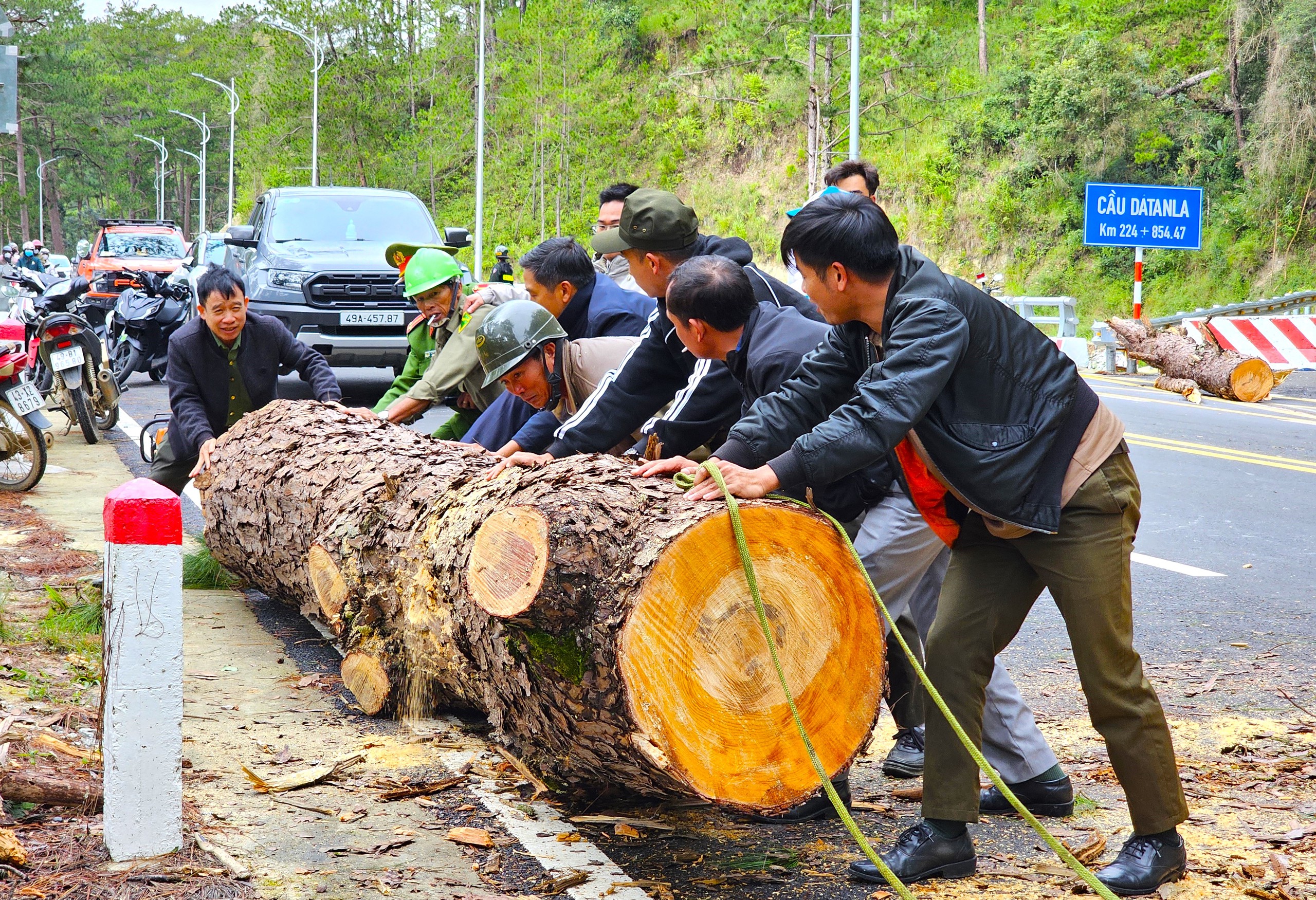 C&acirc;y th&ocirc;ng cổ thụ ng&atilde; chắn hết đ&egrave;o Prenn, đường l&ecirc;n Đ&agrave; Lạt &ugrave;n tắc- Ảnh 2.