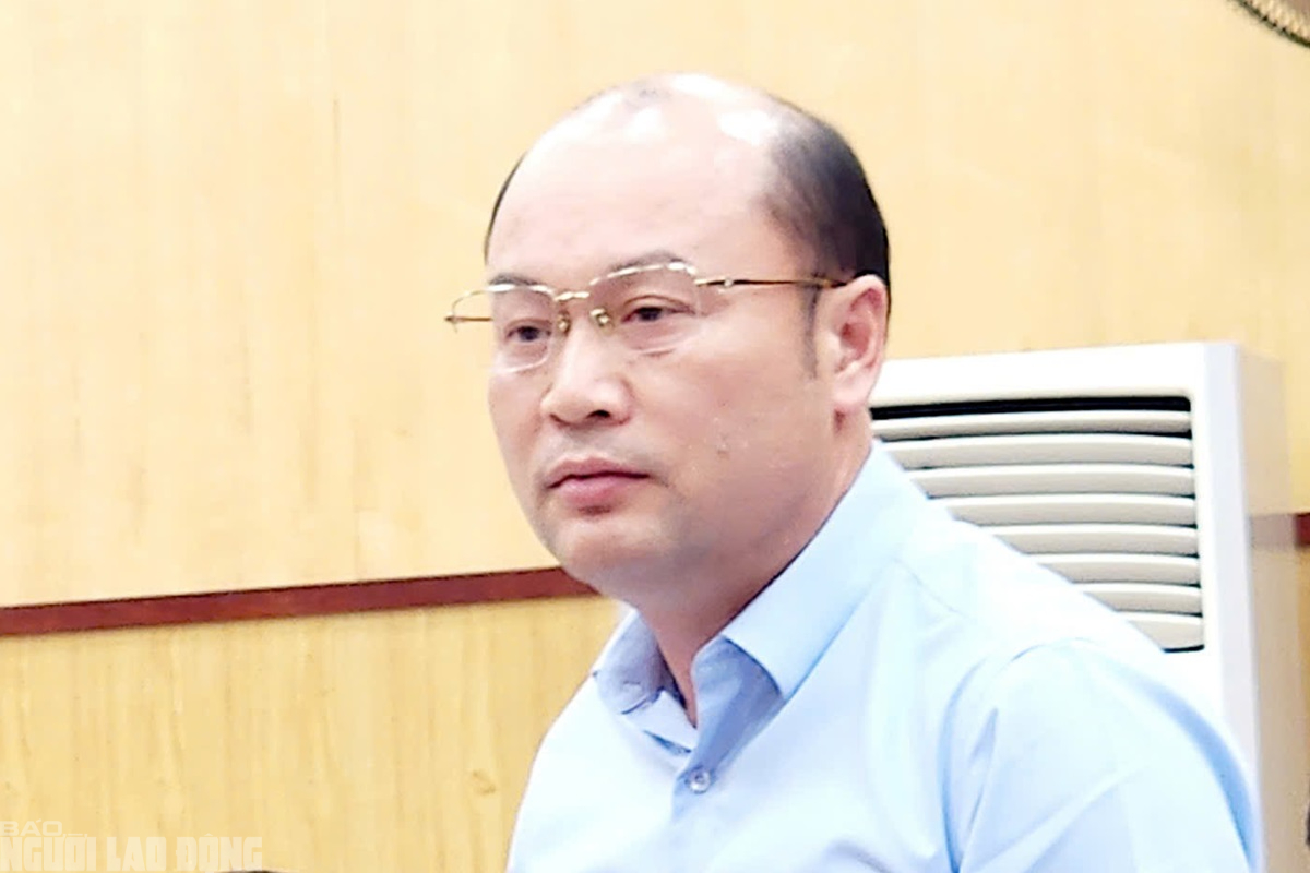 Vụ bất thường c&acirc;y rừng tự nhi&ecirc;n bị "triệt hạ": Đ&atilde; x&aacute;c định được 3 đối tượng- Ảnh 3.